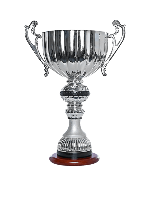 https://stage.straymondscyo.com/wp-content/uploads/2022/11/trophy_01.png