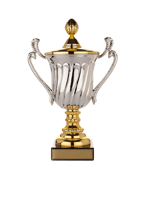 https://stage.straymondscyo.com/wp-content/uploads/2022/11/trophy_02.png