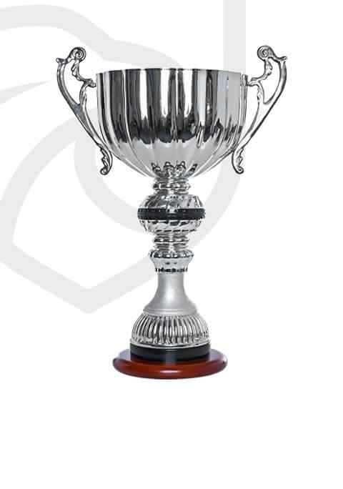 https://stage.straymondscyo.com/wp-content/uploads/2022/11/trophy_overlay_01.jpg