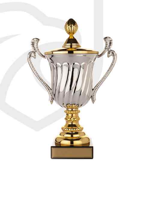 https://stage.straymondscyo.com/wp-content/uploads/2022/11/trophy_overlay_02.jpg