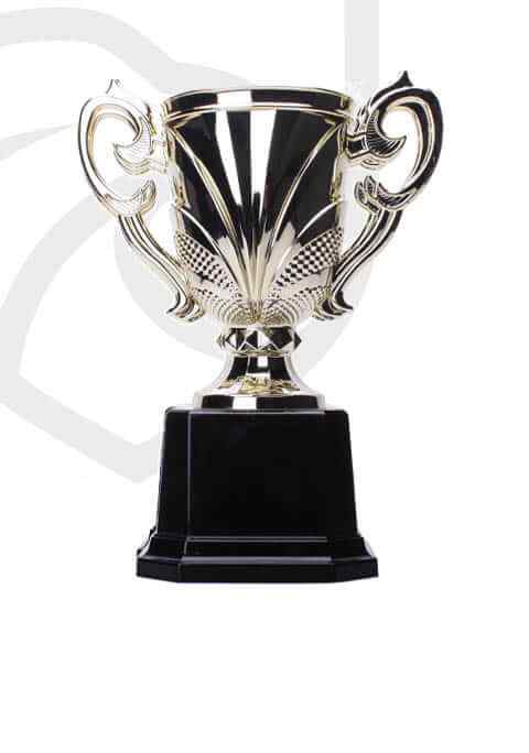 https://stage.straymondscyo.com/wp-content/uploads/2022/11/trophy_overlay_04.jpg